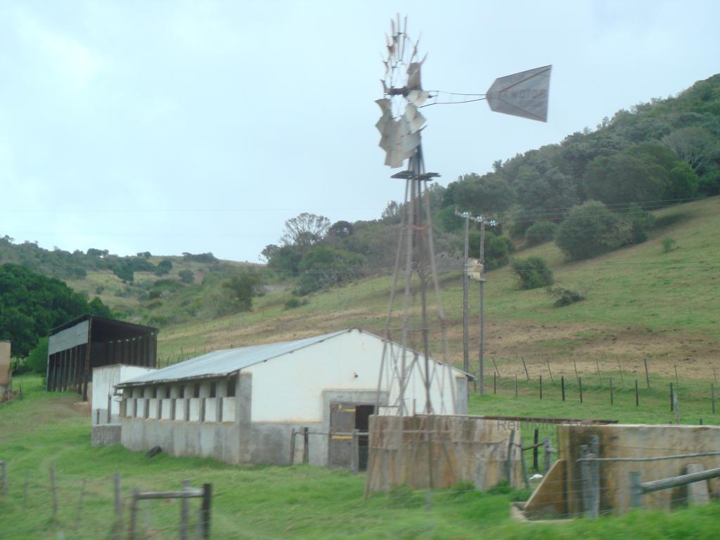 A roadside farm on the way home, with a windmill in the foreground, a building and greenery behind.