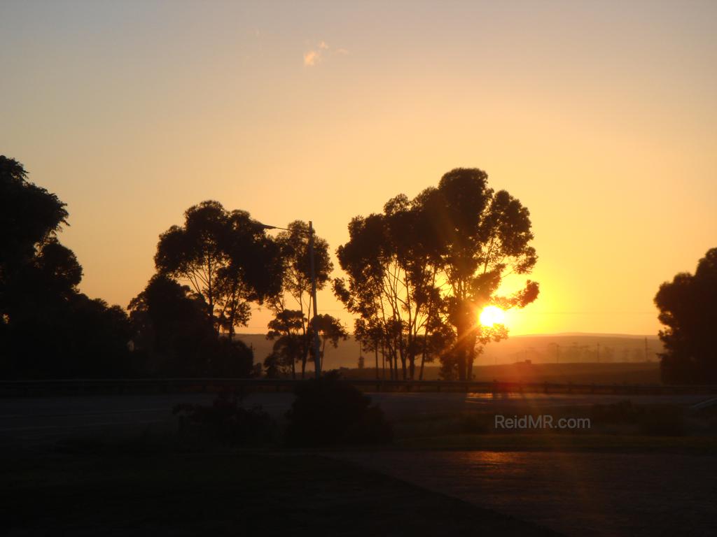 South African sunrise with the sun coming up through the trees.