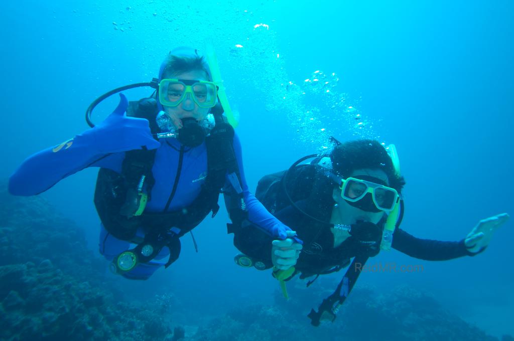 Ben and I holding hands while scuba diving.
