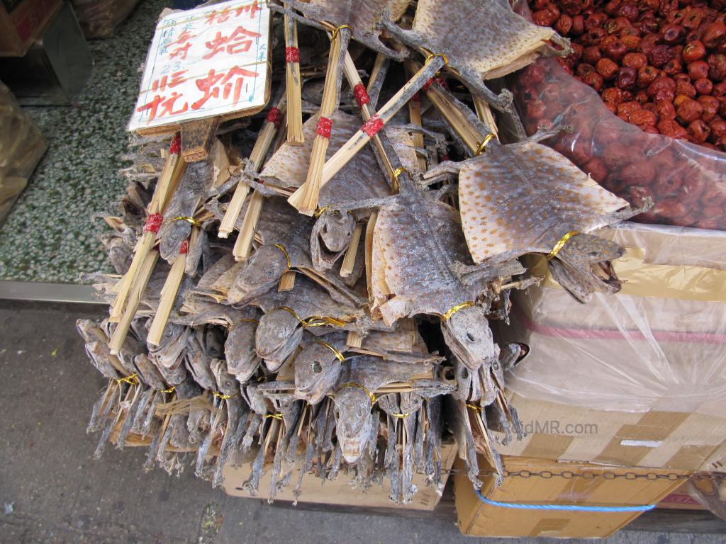 Bucket of dried lizards on a stick. 