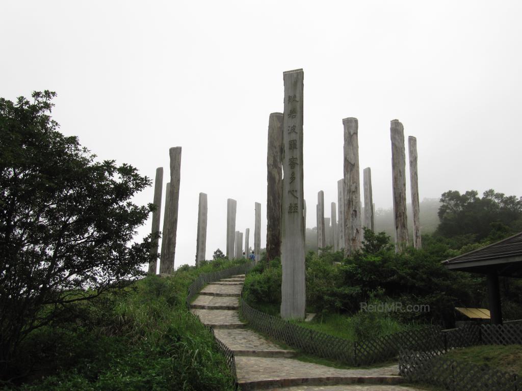 Wisdom Path, a bunch of tall wooden logs cut in half the long way, with Chinese inscriptions on them