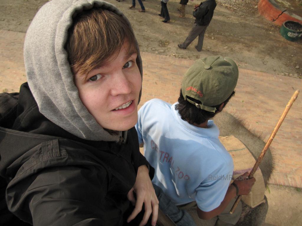 Sitting on the elephant, with the handler on the neck