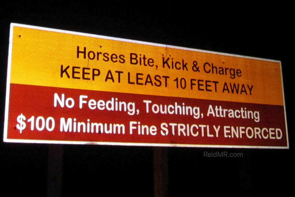 Sign that says: "Horses Bite, Kick & Charge  KEEP AT LEAST 10 FEET AWAY!" (C) 2011 - Lacey. Used with permission. 