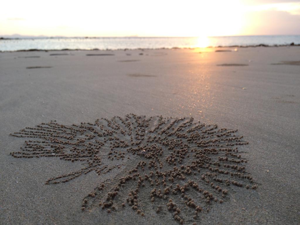 Small crab sand pattern with the beach, ocean and sunset