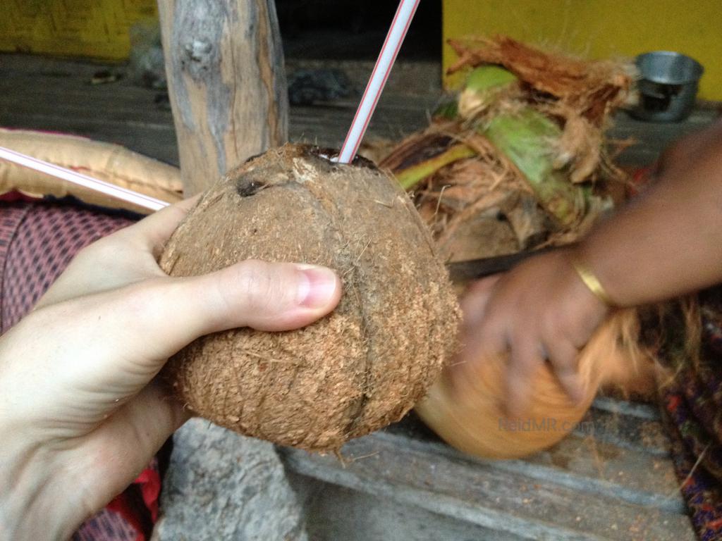 Fresh coconut with an in progress coconut being peeled