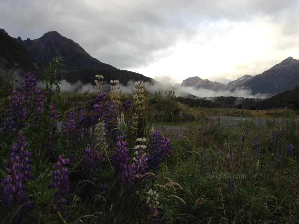 Flowers, mountains, and mist combining for a beautiful image. 