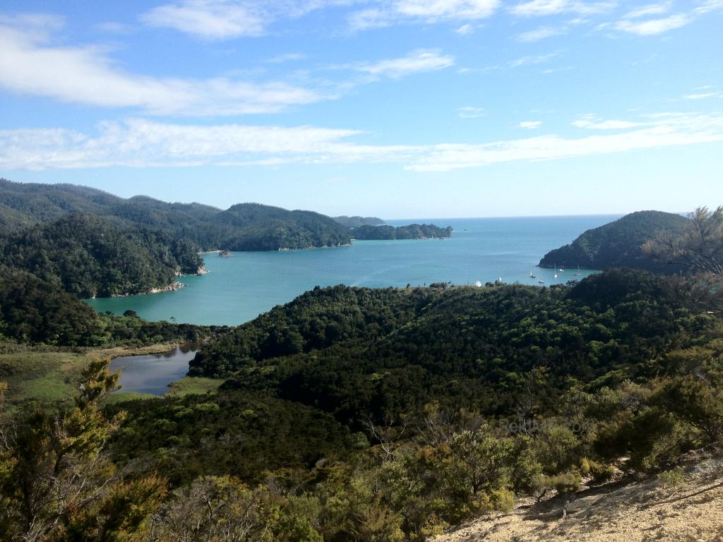 A wonderful ocean bay surrounded by green plants.